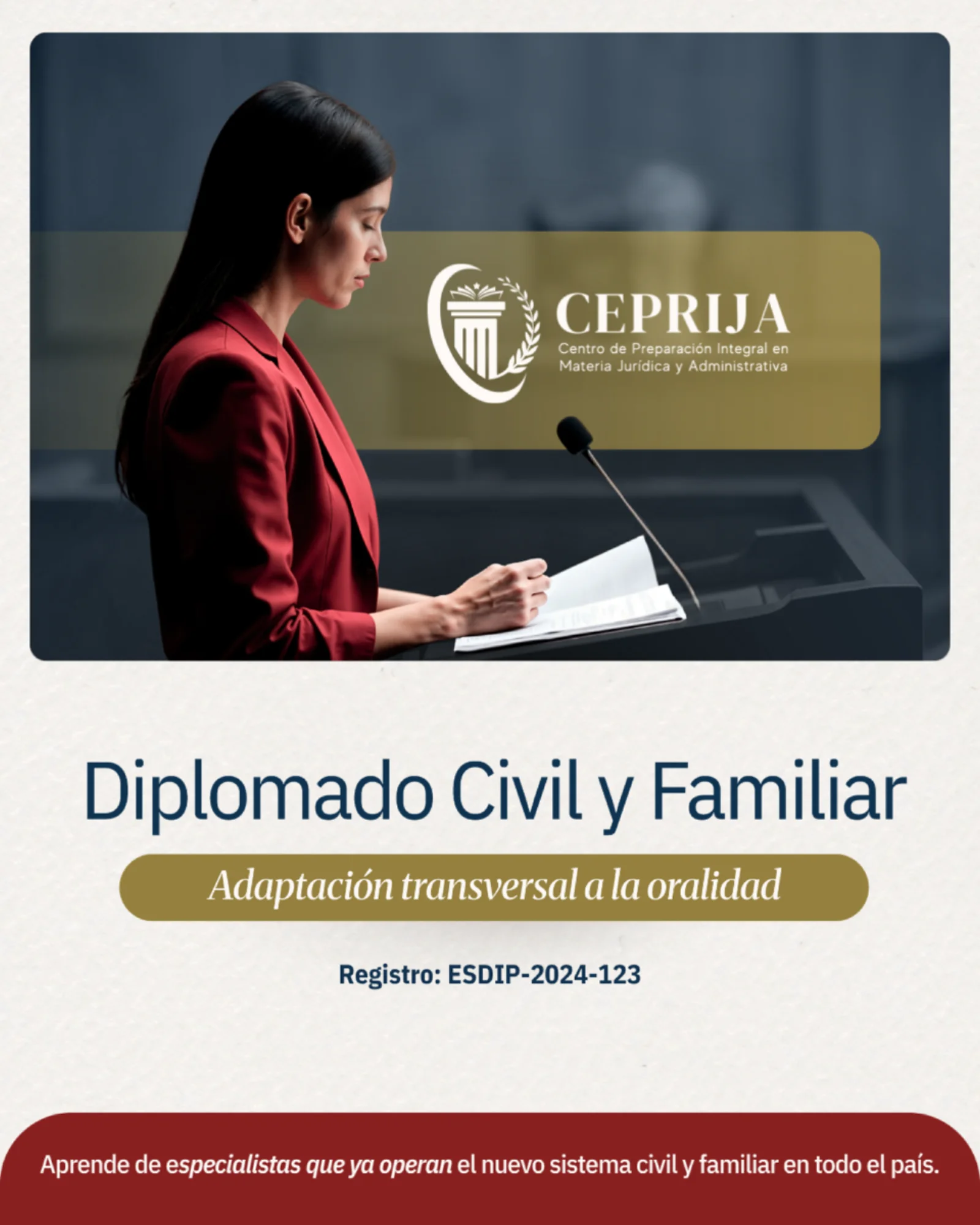 Diplomado Civil y Familiar: Adaptación Transversal a la Oralidad - imagen 1