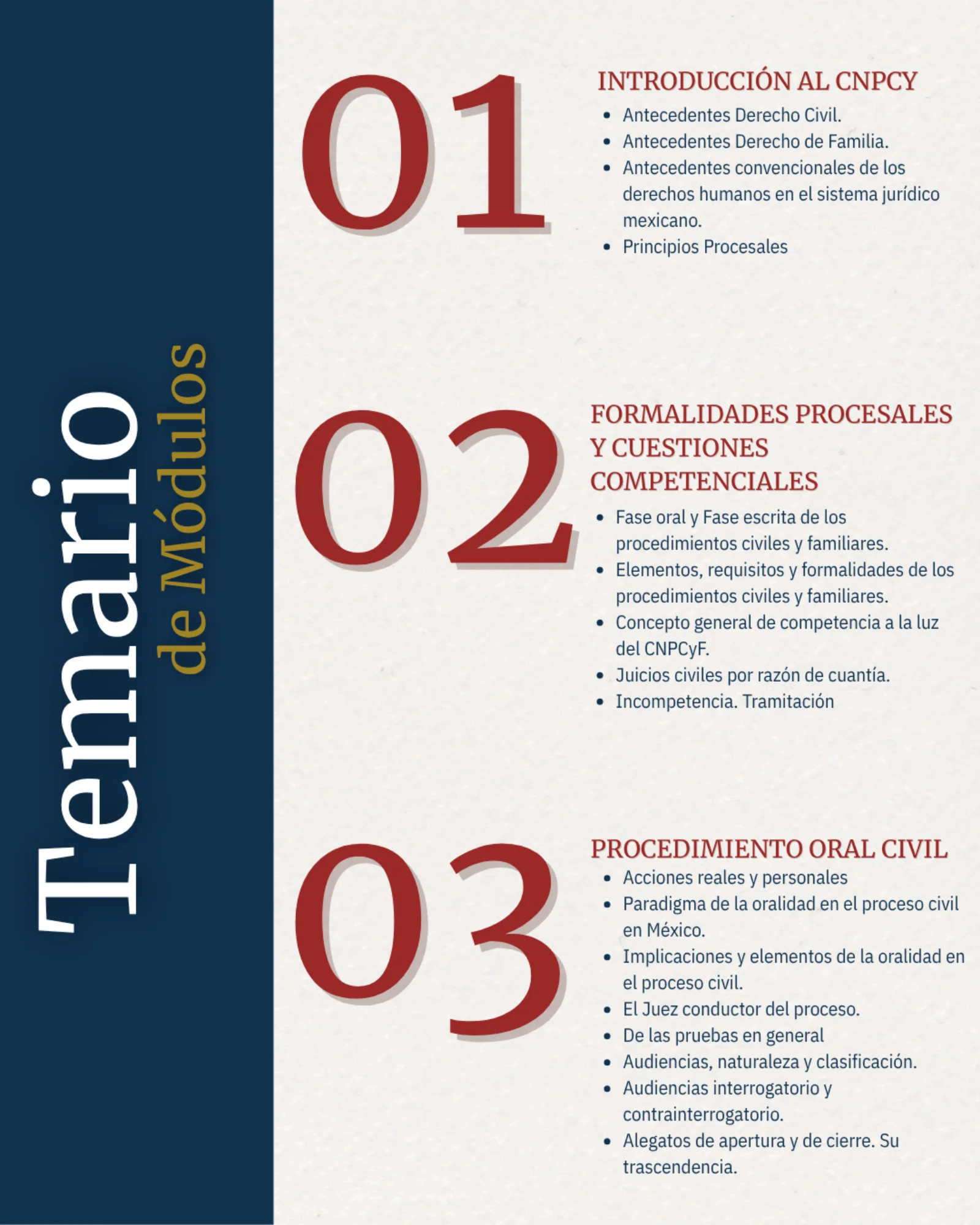 Diplomado Civil y Familiar: Adaptación Transversal a la Oralidad - imagen 2
