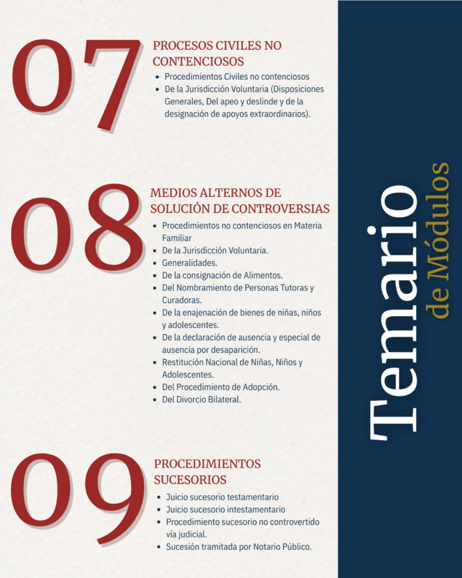 Diplomado Civil y Familiar: Adaptación Transversal a la Oralidad - imagen 4