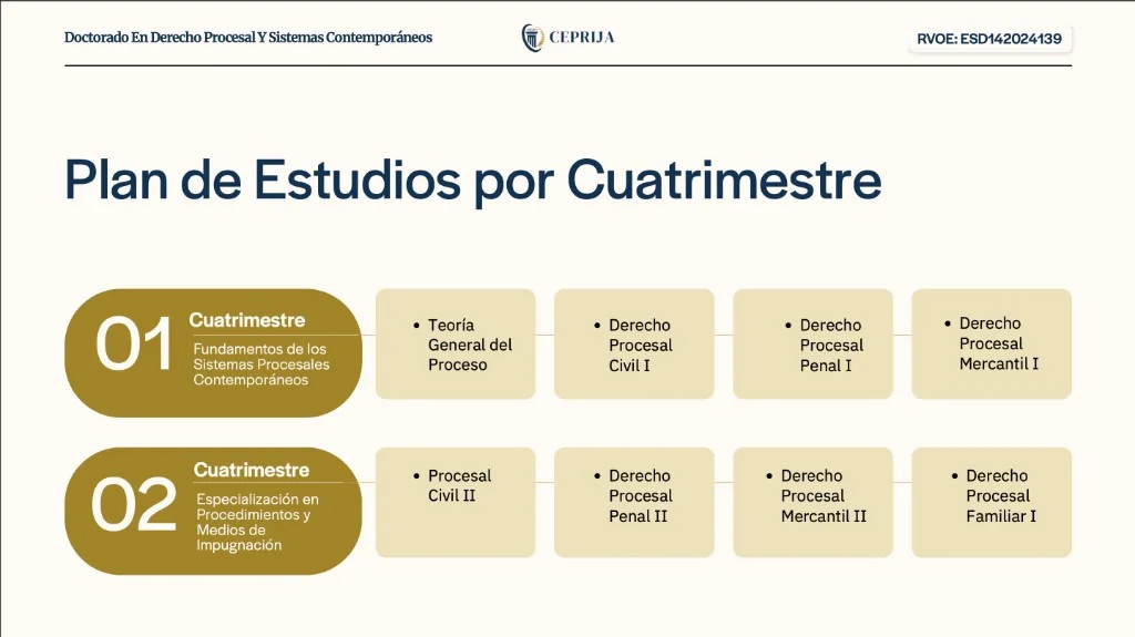 Doctorado en Derecho Procesal y Sistemas Contemporáneos - imagen 2