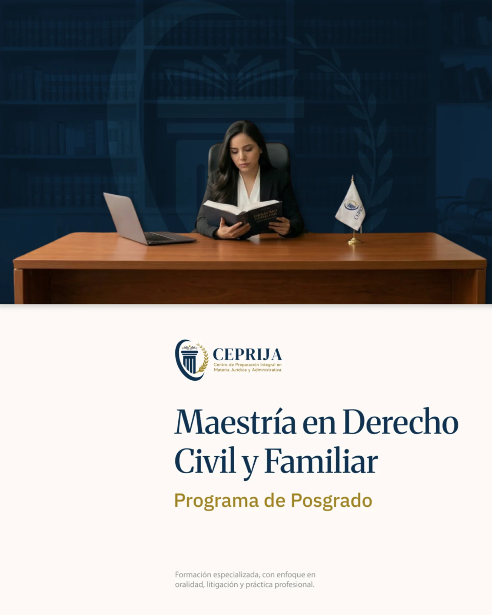 Maestría en Derecho Civil y Familiar - imagen 1