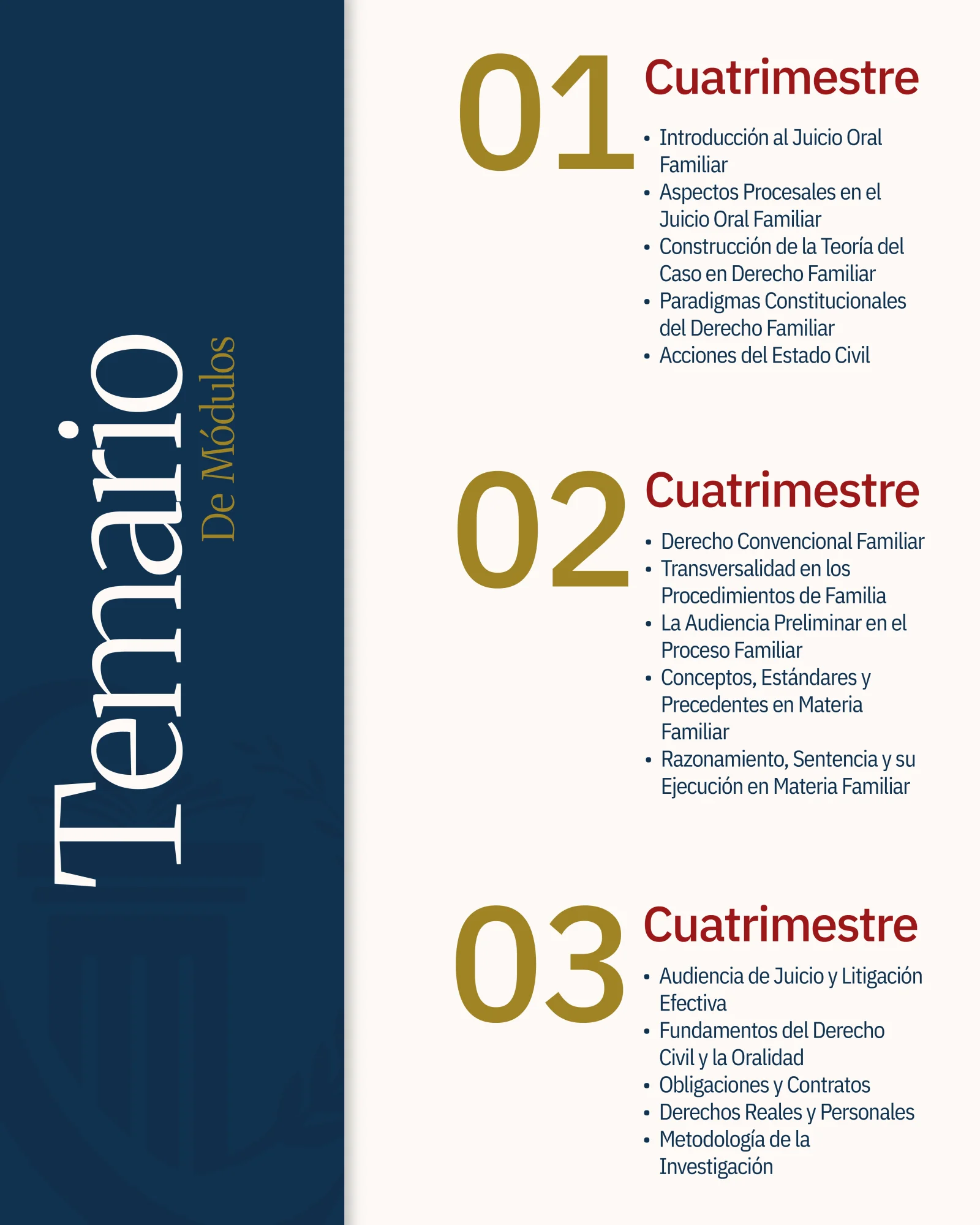 Maestría en Derecho Civil y Familiar - imagen 2