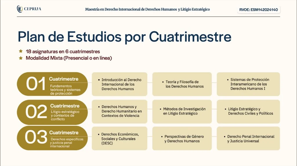 Maestría en Derecho Internacional de Derechos Humanos y Litigio Estratégico - imagen 2
